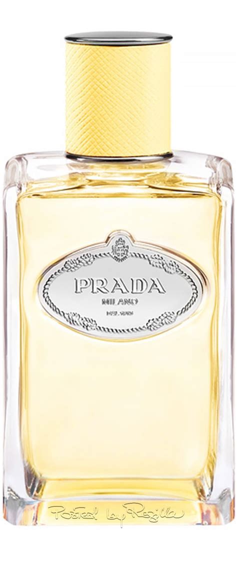 living in yellow prada perfume|living in yellow fashion.